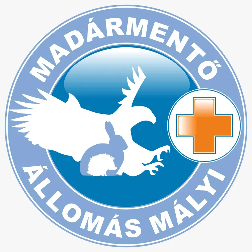 Madármentő Állomás Mályi birdrescuemalyi